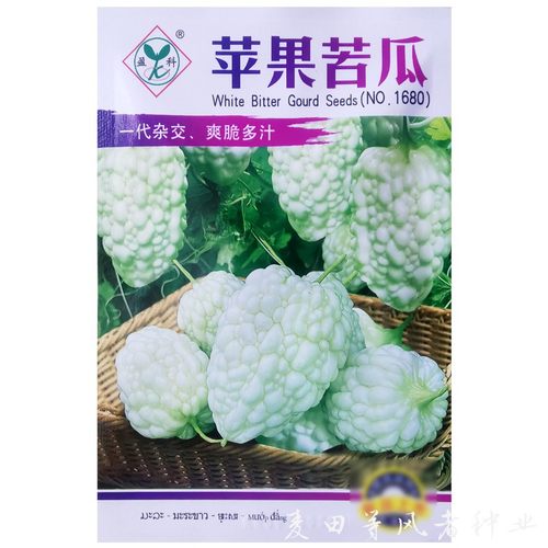 台湾白苹果苦瓜种子生吃不苦四季蔬菜农家庭院阳台盆栽春季播种籽 - 图3
