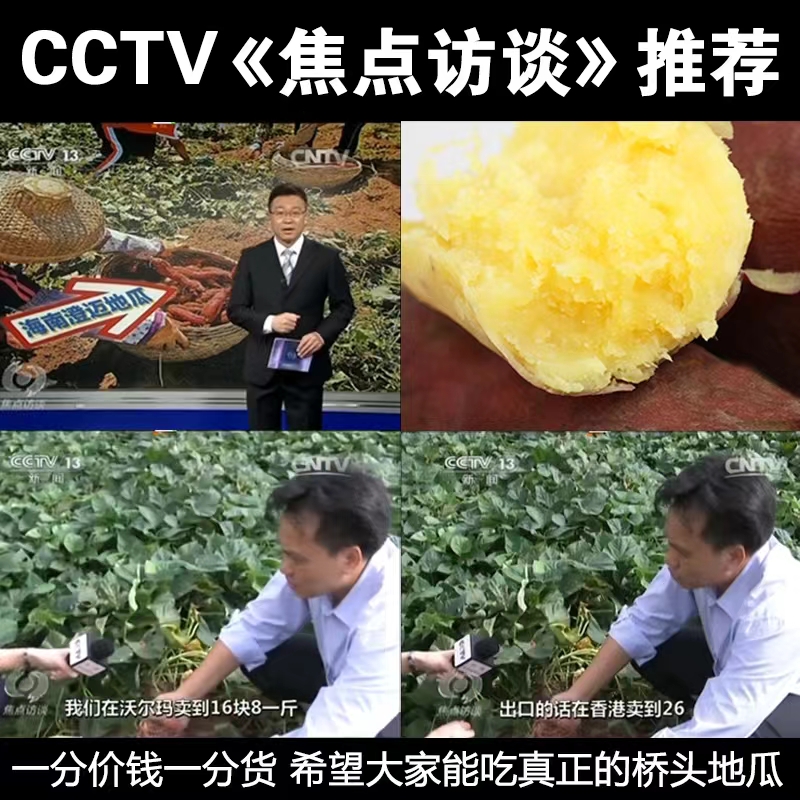 【2025年新果】海南澄迈桥头地瓜现挖新鲜红薯沙地板栗红薯正宗