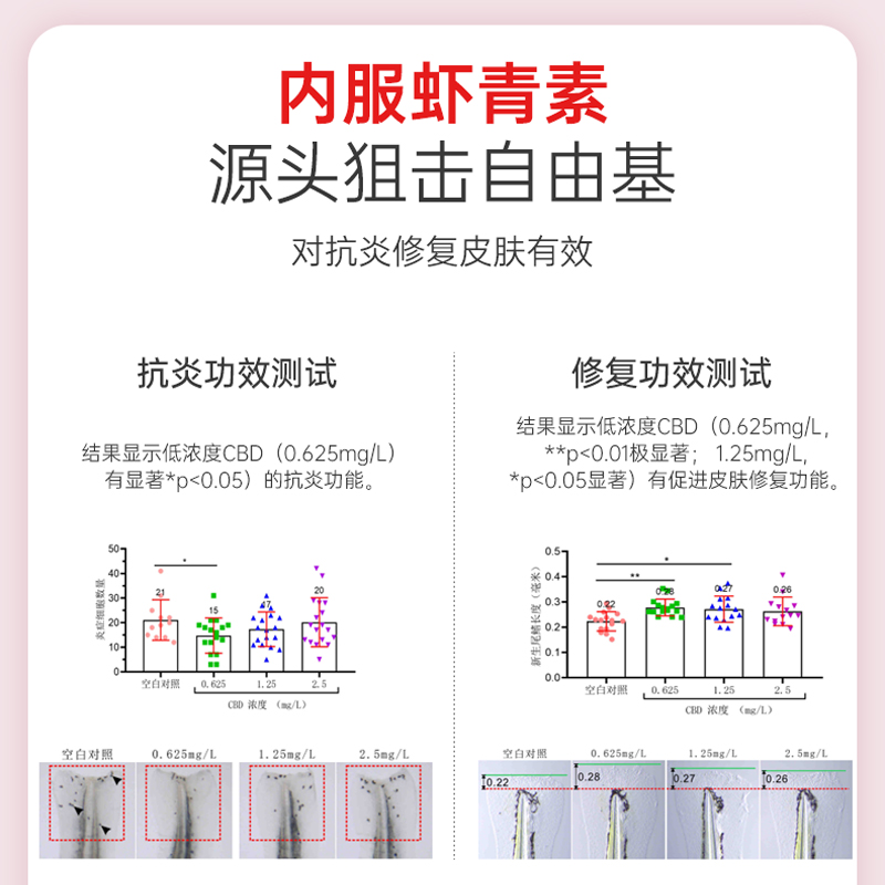 SUNDUOPHD朵博士美国原装进口蔓越莓高含量雨生红球藻虾青素 - 图2