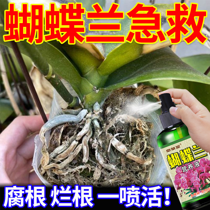 兰花有机肥专用 新人首单立减十元 22年9月 淘宝海外