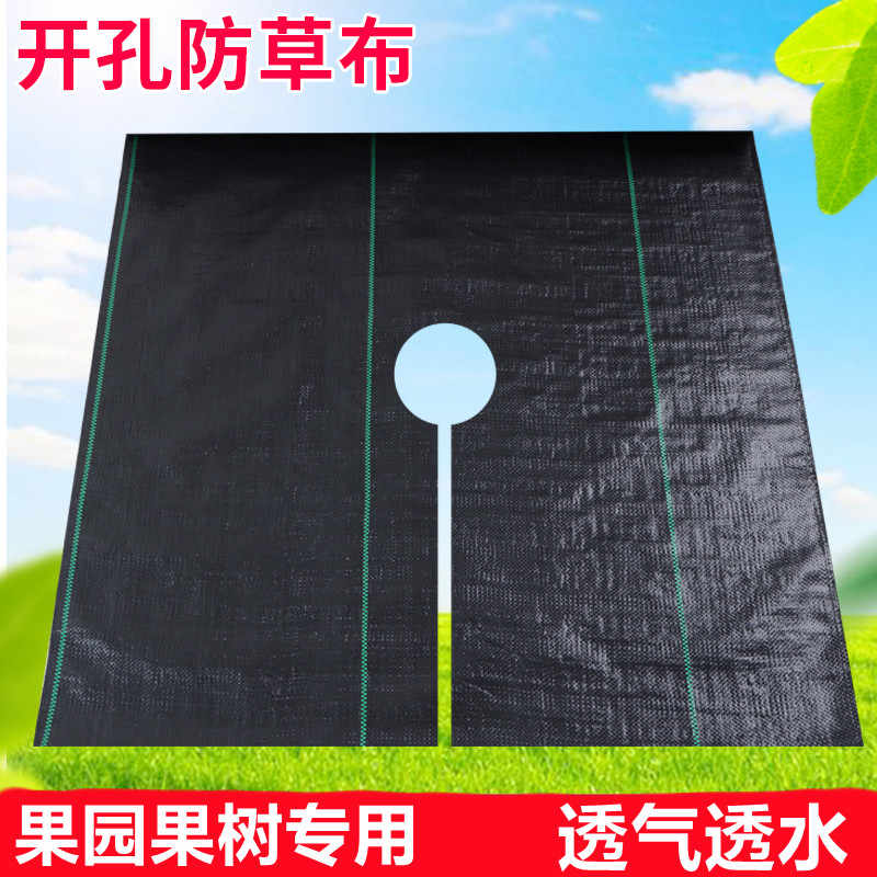 防草シート JPシート 幅 300cm×100m 黒 防草 シート 水耕栽培 ハウス JNC開発 カ施 個人宅配送不可 代引不可 【別倉庫からの配送】 防草シート JPシート 幅 300cm×100m 黒 防草 シート 水耕栽培 ハウス JNC開発 カ施 個人宅配送不可 代引不可 【別倉庫からの配送】
