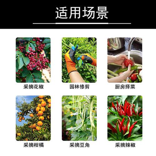 摘菜左拇指刀摘花椒摘豆角铁指甲掐菜采摘手套采摘神器左撇子左手 - 图2