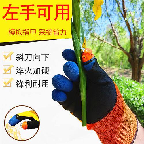 摘菜左拇指刀摘花椒摘豆角铁指甲掐菜采摘手套采摘神器左撇子左手 - 图0