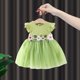 Girls' dress summer 2025 new children's clothing