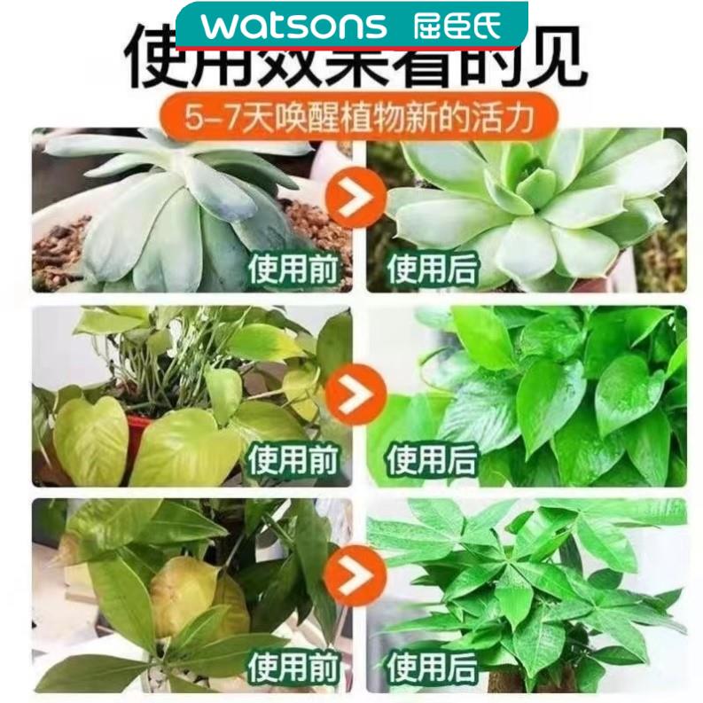 屈臣氏质欣植物护理营养液官营店花肥通用型黄叶室内盆栽水培家用 - 图0