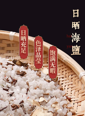 医丙堂海盐热敷包电加热艾灸理疗