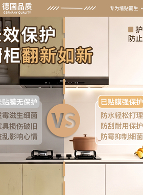 【进口法式肤感膜】家具翻新贴纸