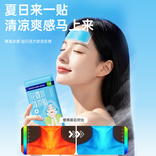 多次元花露水冰凉贴20片