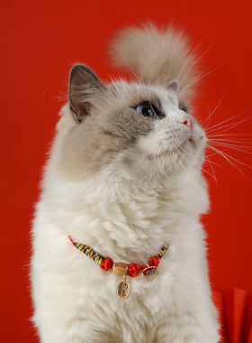 猫咪项圈刻名字宠物项链