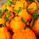 Authentic origin of really ugly orange! Hot sale 300W