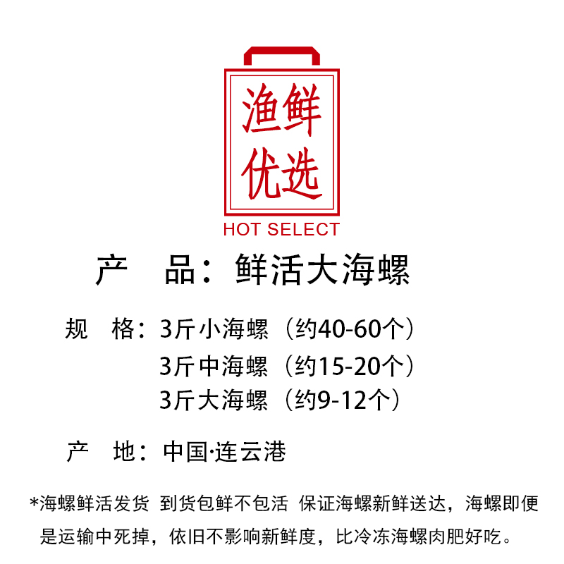 【3斤活海螺】鲜活新鲜超大海螺特大海鲜贝壳类生鲜特产野生香螺-图2