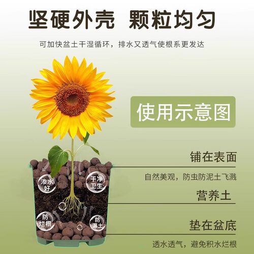陶粒垫底养花专用多肉营养土花盆回填鱼缸水培铺面火山石颗粒土壤 - 图0