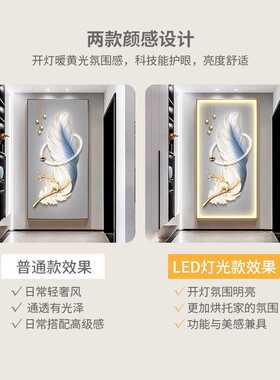 玄关装饰画现代简约入户客厅走廊过道挂画羽毛高档led灯画