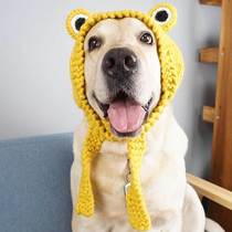 Dog hat winter ears plush funny to blame for changing frogs headgear SamoyeLabrador Big dog hat