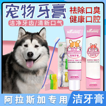 Alaska special pooch toothbrush toothpaste suit toothbrushing to clean the mouth with a refreshing breath.