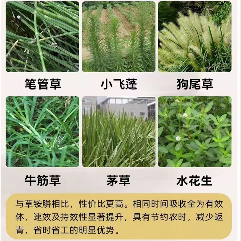 精草铵磷铵盐除草剂强力除草烂根剂草胺磷正品草铵膦草安磷杀草剂-图2