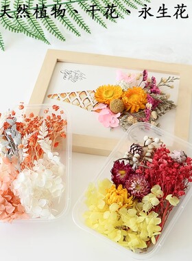 diy混合盒装干花永生花材料