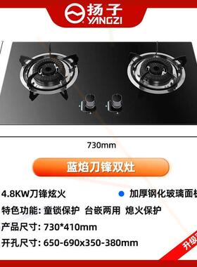 燃气灶双灶家用定时燃气灶台嵌两用猛火灶天然气液化气灶炉具