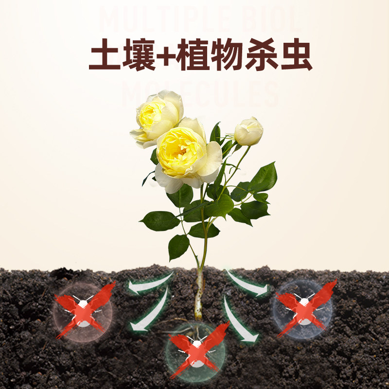 千百季小白药呋虫胺内吸式多肉蚧壳虫防虫药花卉小黑飞通用杀虫剂,淘宝优惠券,粉丝福利购,淘宝优惠卷