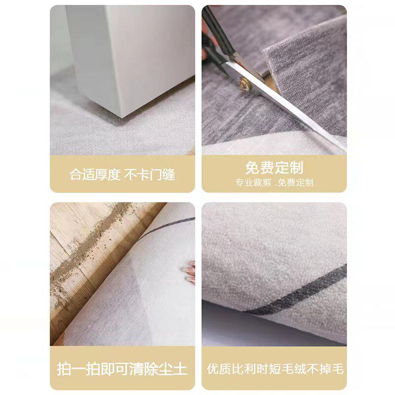入户门进门大门口垫子高档轻奢地垫 原古地毯