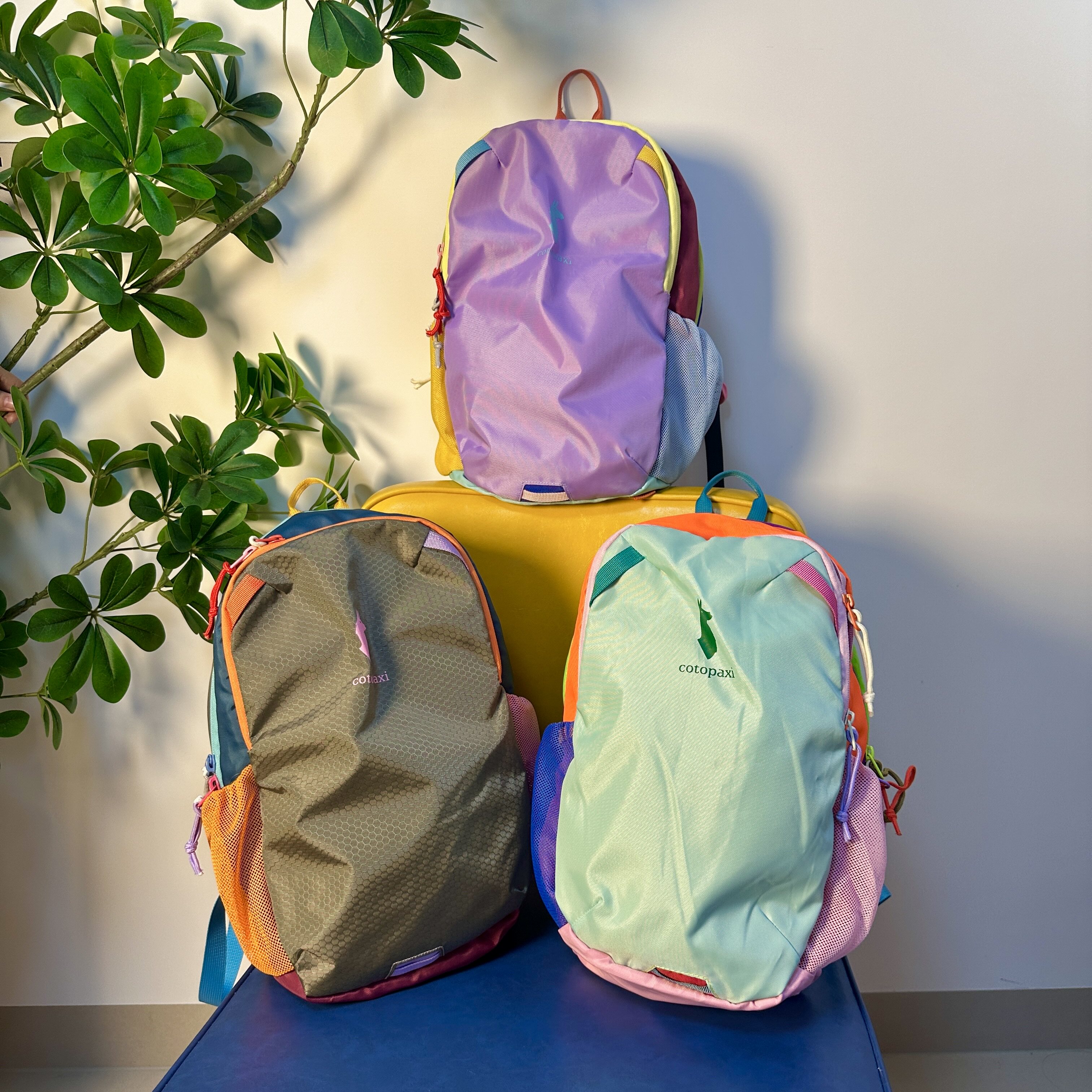 Dopamine Alpaca Backpack Large Capacity Travel Backpack
