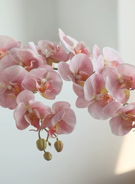 粉色蝴蝶兰仿真花花瓶套装家居装饰假花手感保湿高品质插花送礼