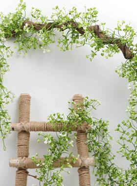 仿真植物造景家居电线外露遮丑神器满天星尤加利藤条户外装饰品