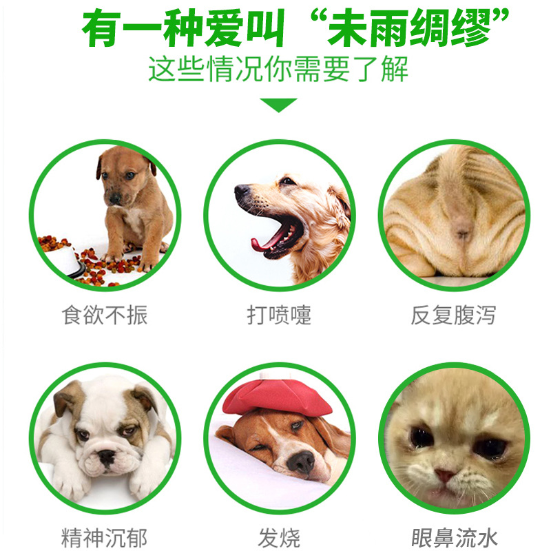 艾力德宠物测试纸冠状病毒猫瘟FPV犬瘟热试纸CDV细小CPV测试板-图1