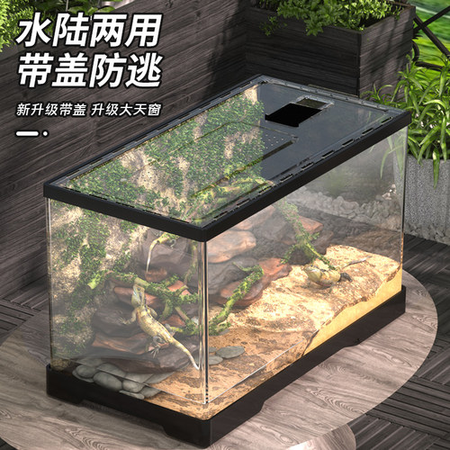 爬宠饲养箱亚克力蛇角蛙蜘蛛蜥蜴守宫饲养盒甲虫爬虫饲养箱乌龟缸 - 图0