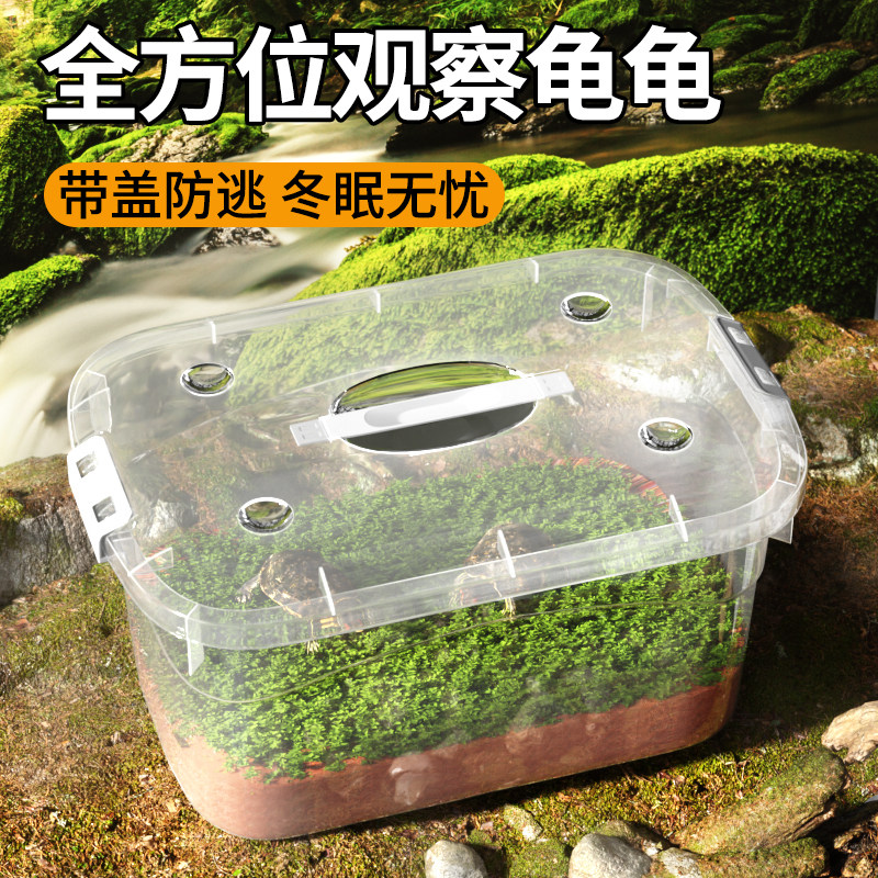 乌龟冬眠饲养盒带盖透明守宫寄居蟹角蛙鬃狮蜥仓鼠爬宠动物冬眠箱,淘宝优惠券,粉丝福利购,淘宝优惠卷