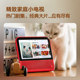 Tmall Genie CCH smart screen 7-inch touch screen speaker