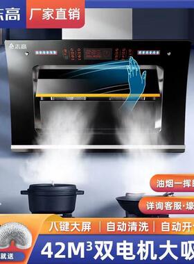 志高油烟机双电机家用抽油烟机厨房侧吸变频抽烟机小型自动清洗B2