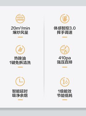 澳柯玛油烟机102家用欧式