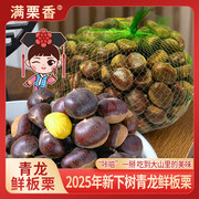 满栗香 2025年新鲜青龙板栗2.5斤