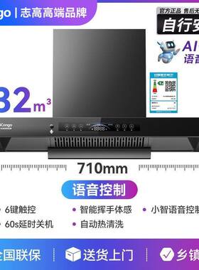 icongo志高高端品牌顶吸