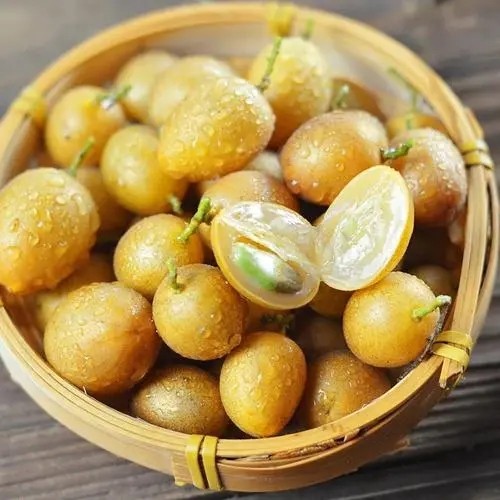 黄皮果是哪里的特产_什么值得买