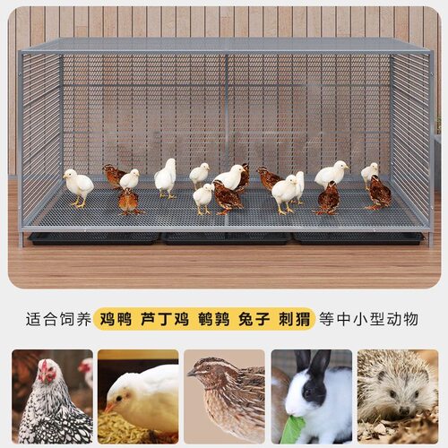 鸡笼子家用室外特大号防黄鼠狼密网防雨农村鸡笼子自动清粪养殖笼 - 图1