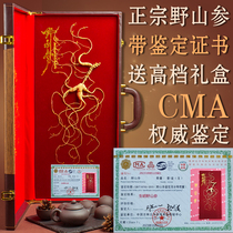 Long White Mountain Ginseng Gift Box Installed Northeast Special Birth wild Mountain Participation in wild forest with high gear gifts Spring Festival gifts for Spring Festival