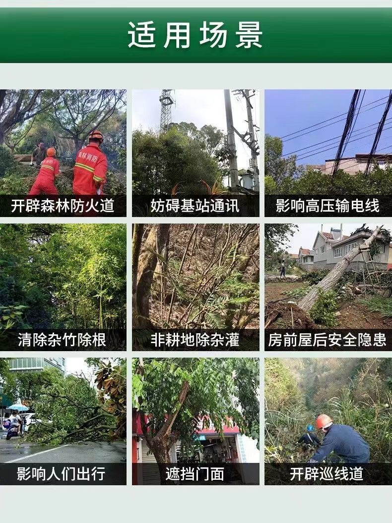 灭根粉烂根除大树专用药一滴树死树根腐蚀剂枯树强力除树根神器 - 图2