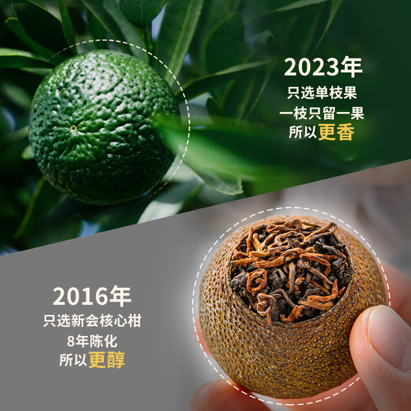 茶妈妈小青柑新会陈皮云南普洱茶熟茶青柑普洱茶茶叶送礼盒装100g