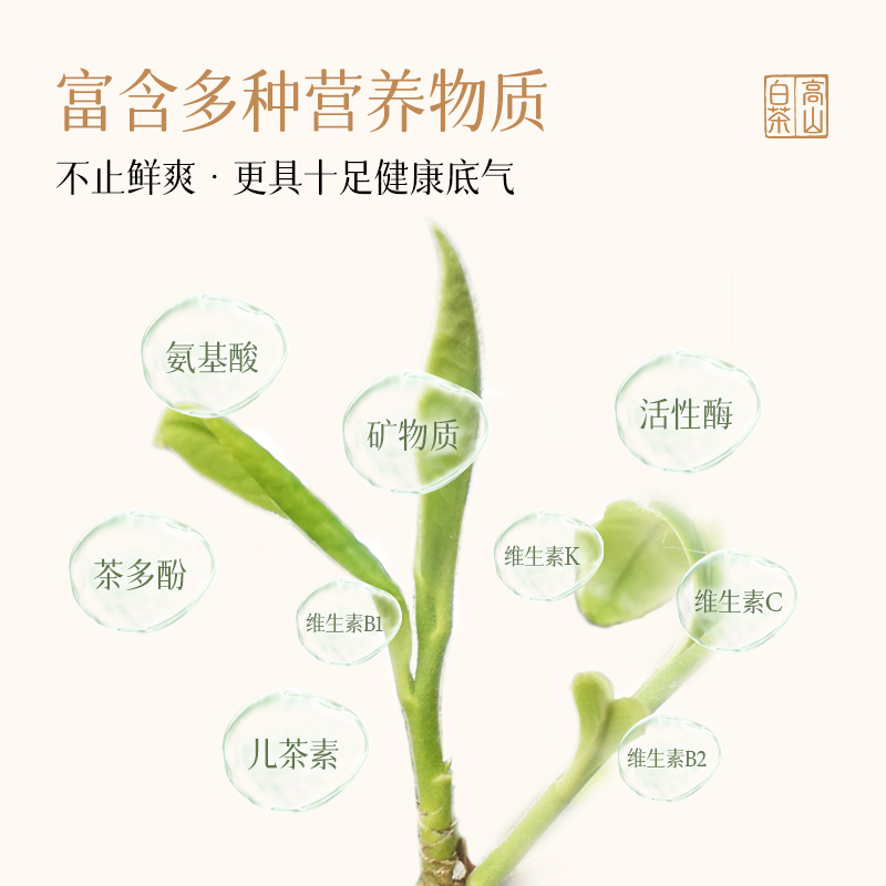 茶妈妈2020年云白金云南高山贡眉老白茶5年陈白茶便携装茶叶240g