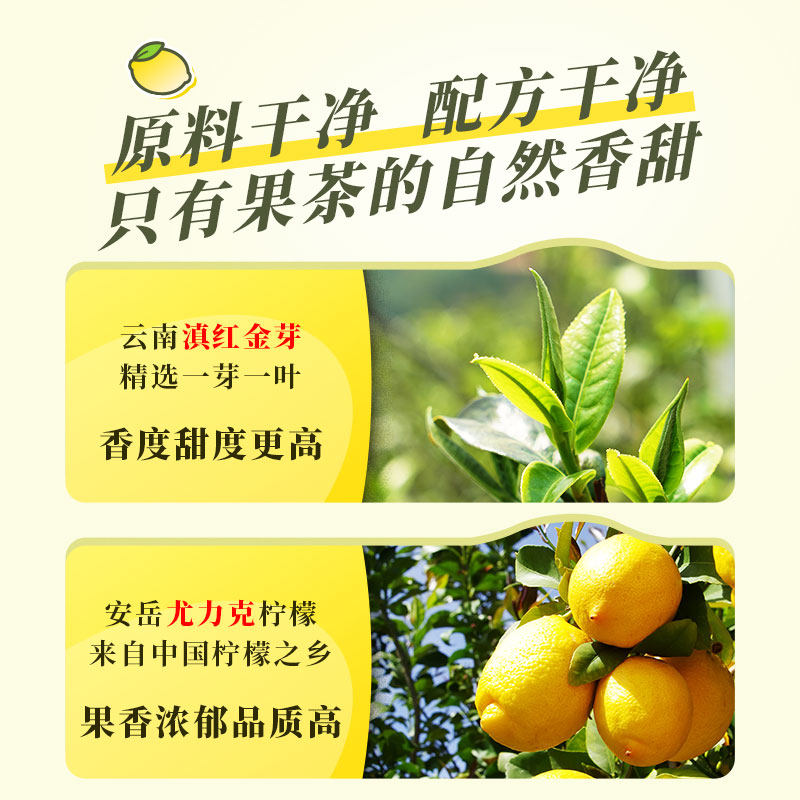 茶妈妈小金柠柠檬红茶茶叶独立包装滇红茶柠檬茶可冷热泡茶水果茶