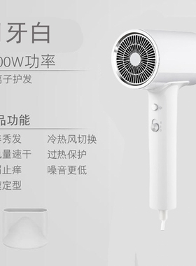 志高电吹风机家用迷你便携大功率