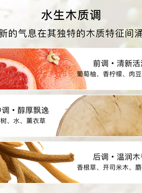 莱俪墨恋运动版男士香水EDT简装100ml