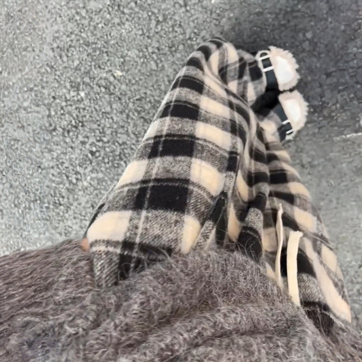 300斤胖mm大码美式慵懒格子阔腿休闲裤女高腰垂感宽松百搭毛呢裤,淘宝优惠券,粉丝福利购,淘宝优惠卷