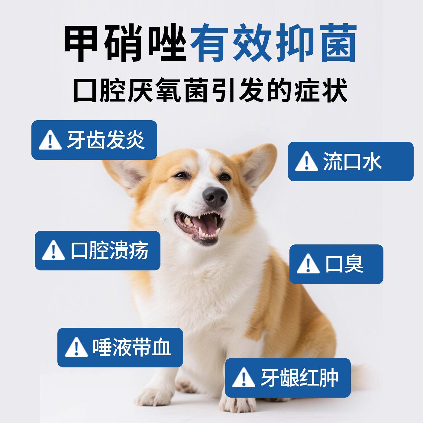 甲硝唑片宠物用狗狗滴虫口炎药牙龈红肿口臭口腔溃疡药牙周炎消炎