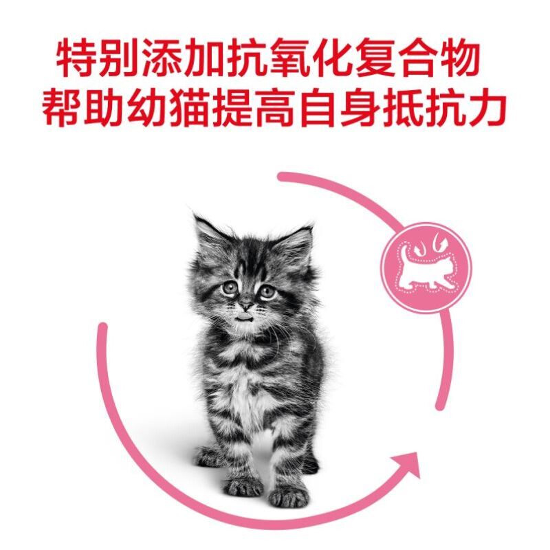 皇家幼猫粮bk34孕猫奶糕400g2包猫食离乳哺乳期1-4个月新生猫咪粮 - 图1