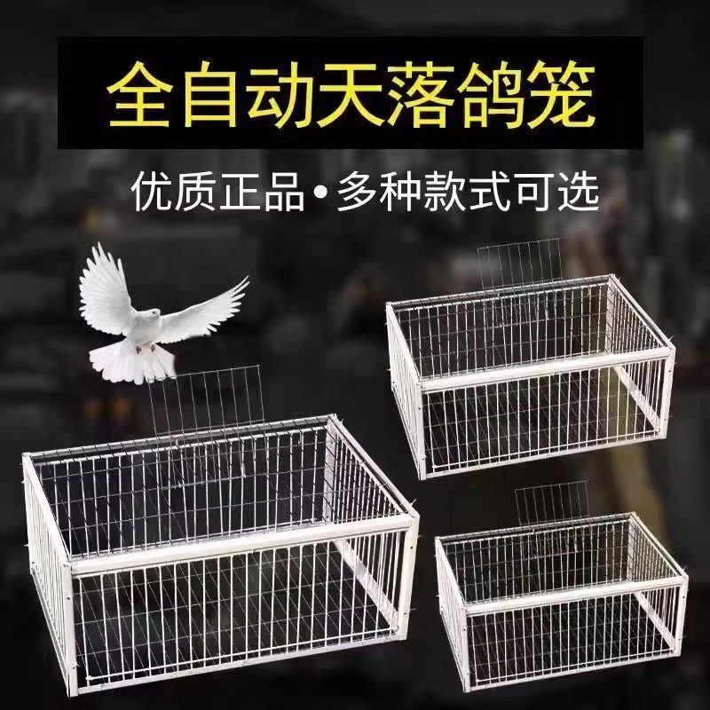补笼全自动天落笼子撞门捕捉抓收鸽子鸟神器捕笼器加密款网防锈,淘宝优惠券,粉丝福利购,淘宝优惠卷