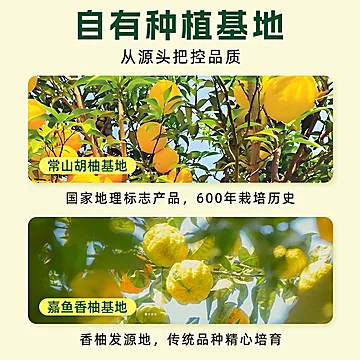 悦享客鲜榨果汁柚子汁饮料230g*8瓶[9元优惠券]-寻折猪