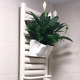 Simple and fashionable plastic water-absorbent flowerpots factory direct sales